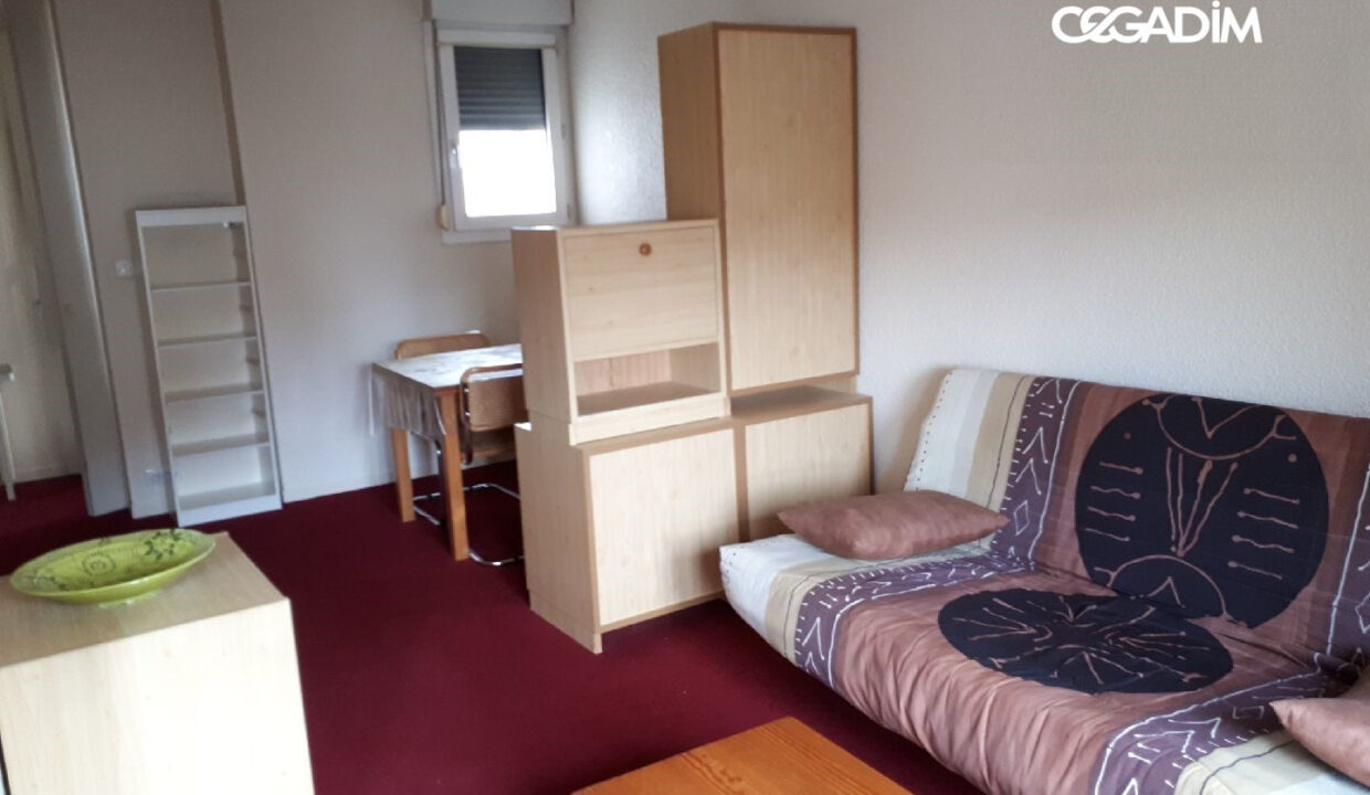 0001030041-CEGADIM63-1