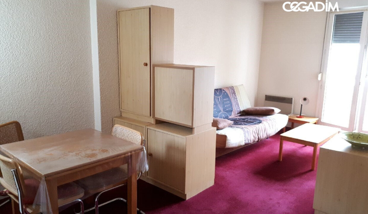 0001030041-CEGADIM63-2