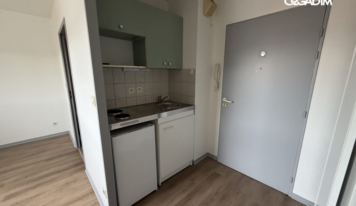 0001160071-CEGADIM63-1